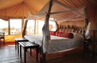 Tented Camp Photo